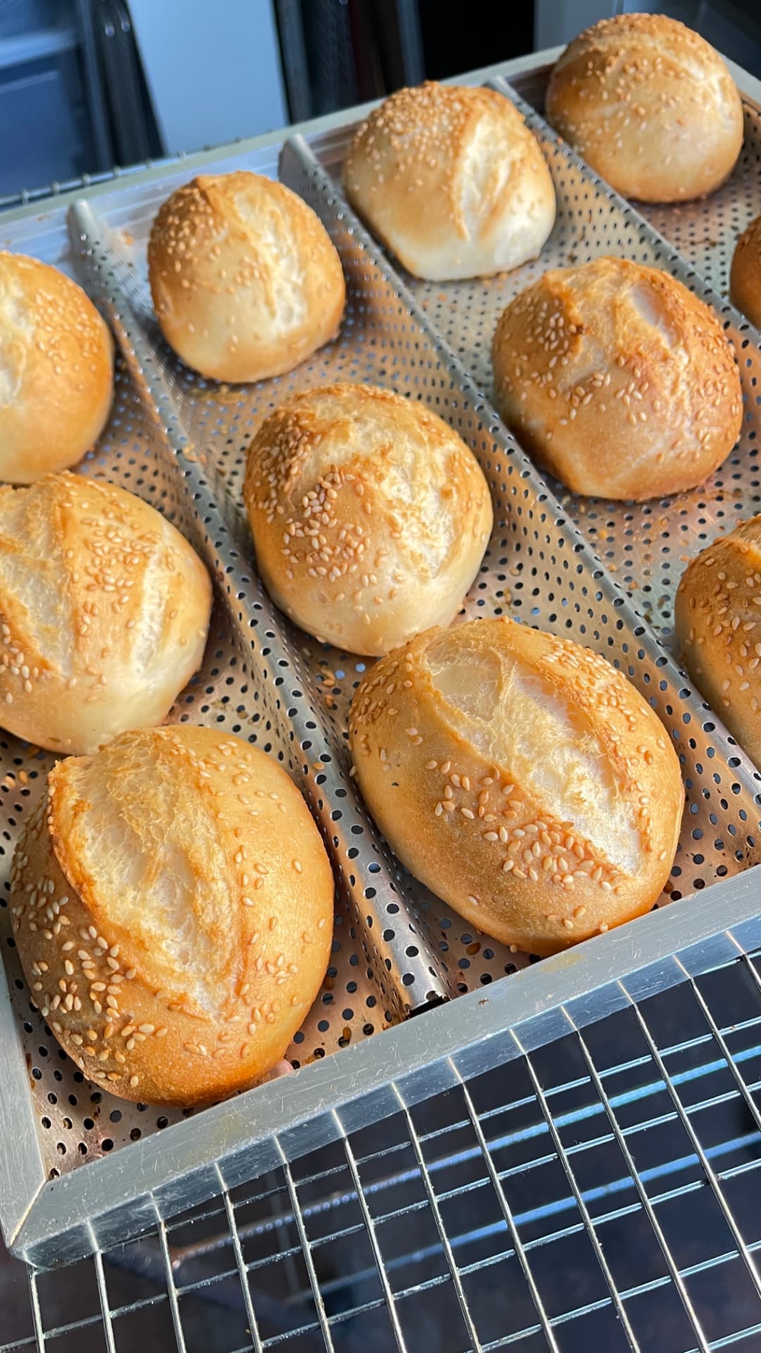 Pães artesanais sem glúten dourados, com gergelim, em uma esteira de panificação